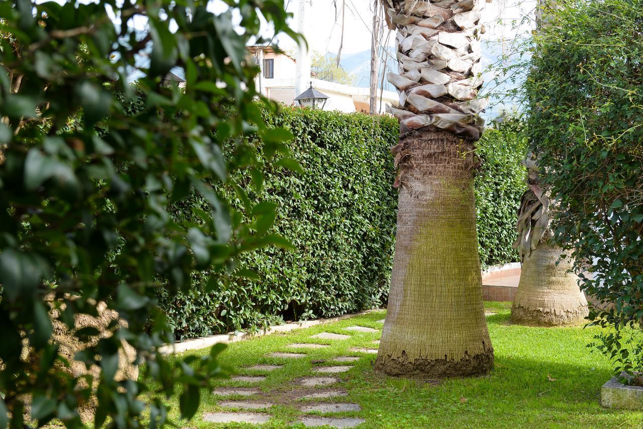 Patras Palm Tree Apartment Bagian luar foto